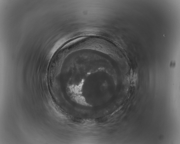 X0000111650099200907311326