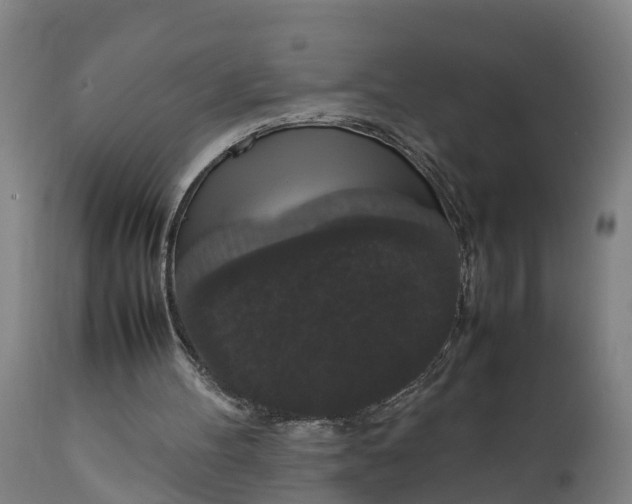 X0000111650100200907311326