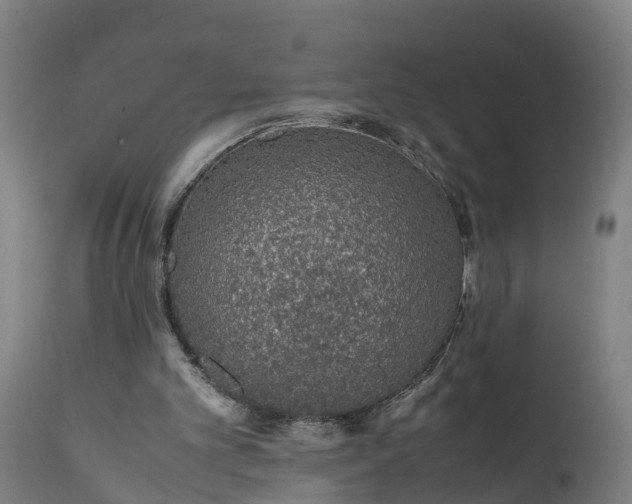 X0000111650101200907311326
