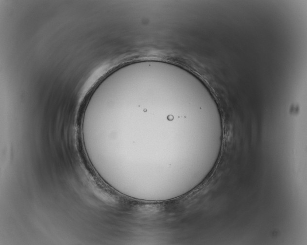 X0000111650102200907311326