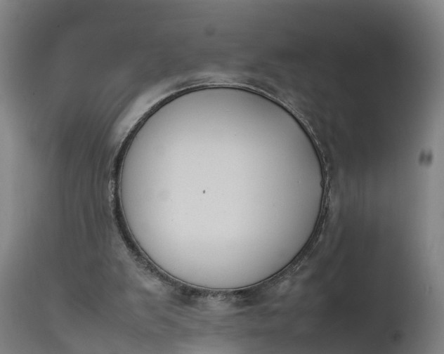 X0000111650103200907311326