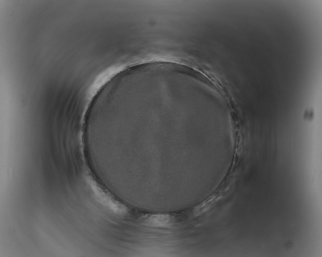 X0000111650104200907311326