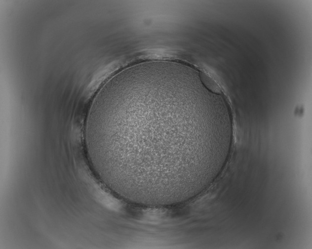 X0000111650105200907311326