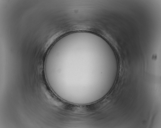 X0000111650107200907311326