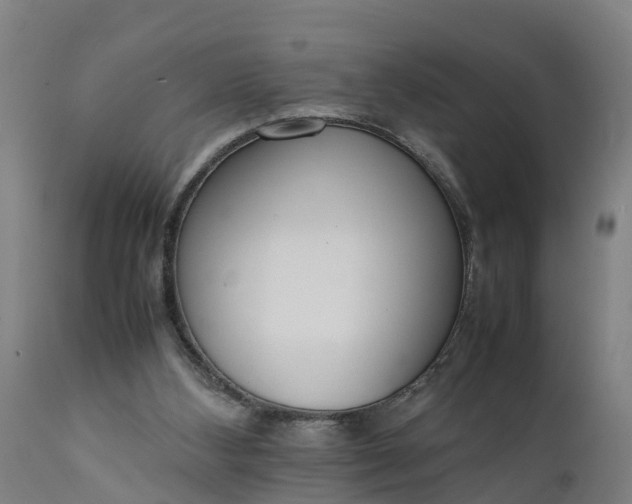 X0000111650108200907311326