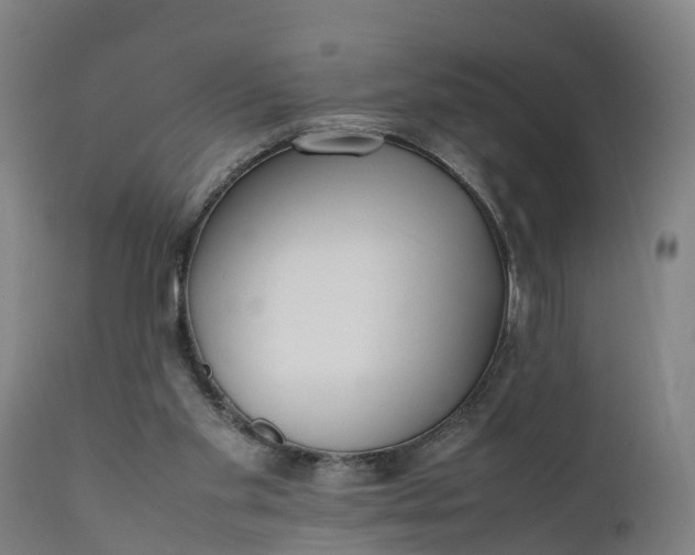 X0000111650109200907311326