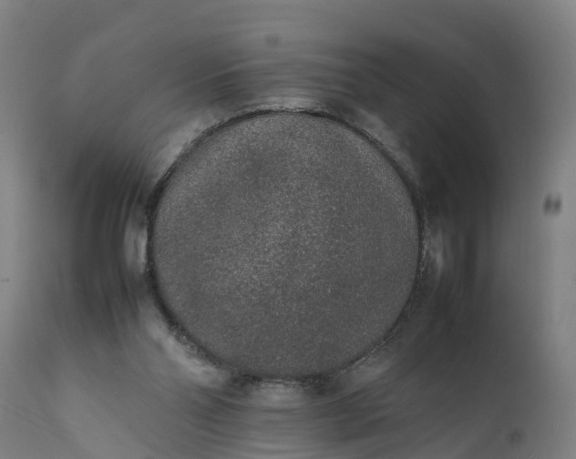 X0000111650110200907311326