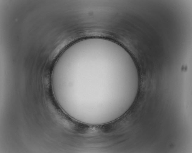 X0000111650111200907311326