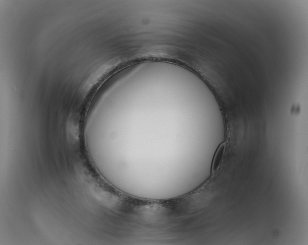 X0000111650112200907311326