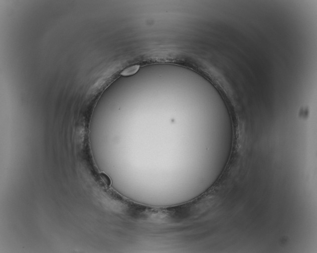 X0000111650113200907311326