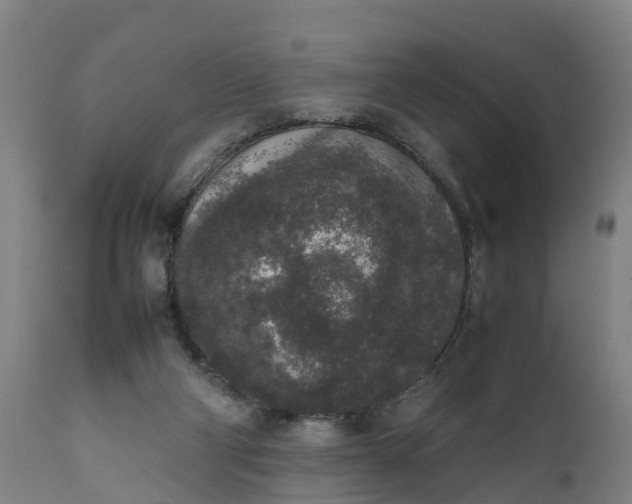 X0000111650114200907311326