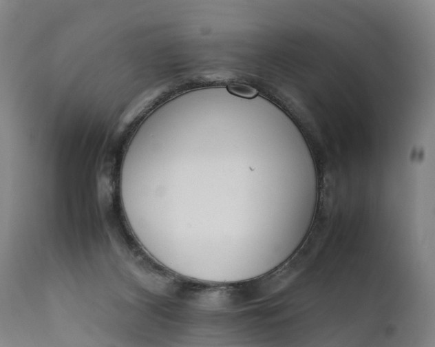 X0000111650116200907311326