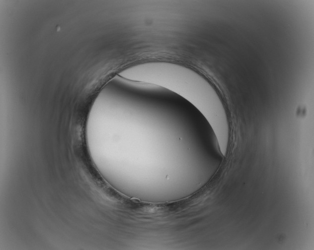 X0000111650117200907311326