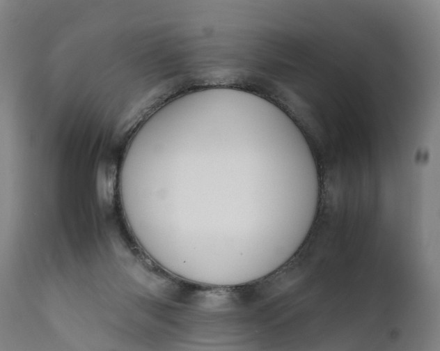 X0000111650118200907311326