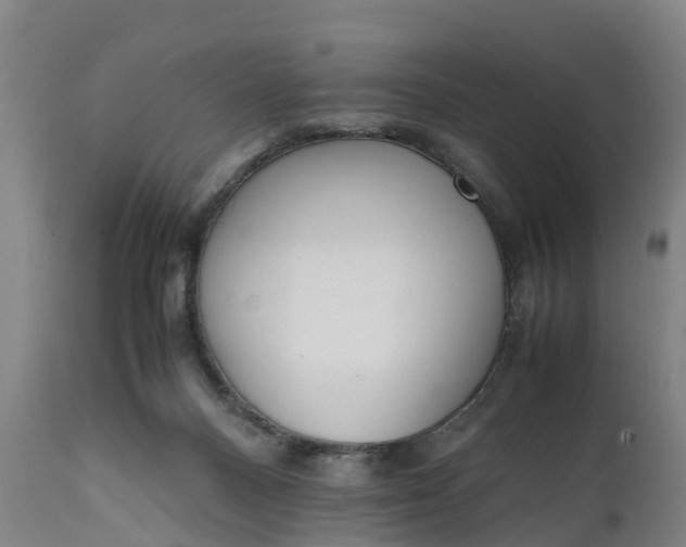 X0000111650120200907311326