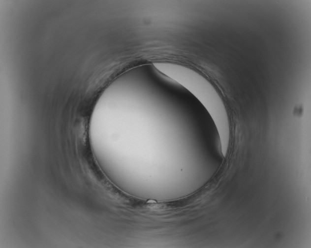 X0000111650121200907311326