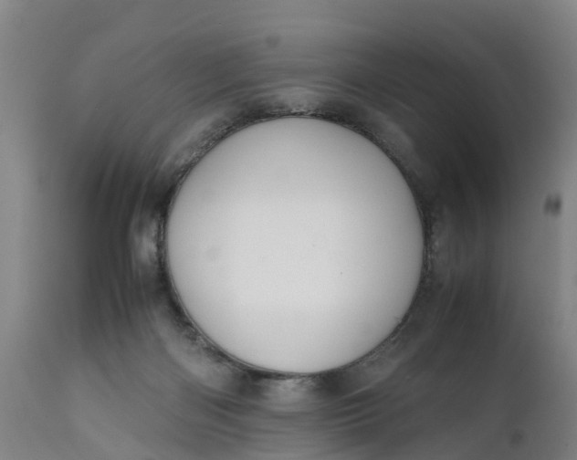 X0000111650122200907311326