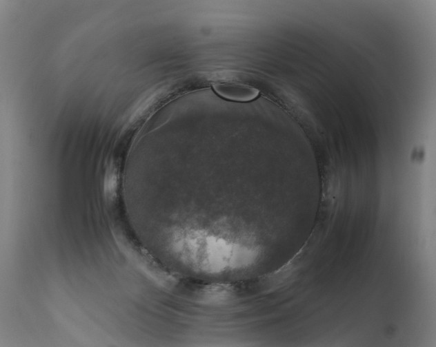 X0000111650124200907311326