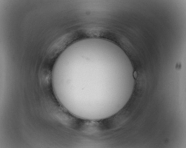 X0000111650125200907311326