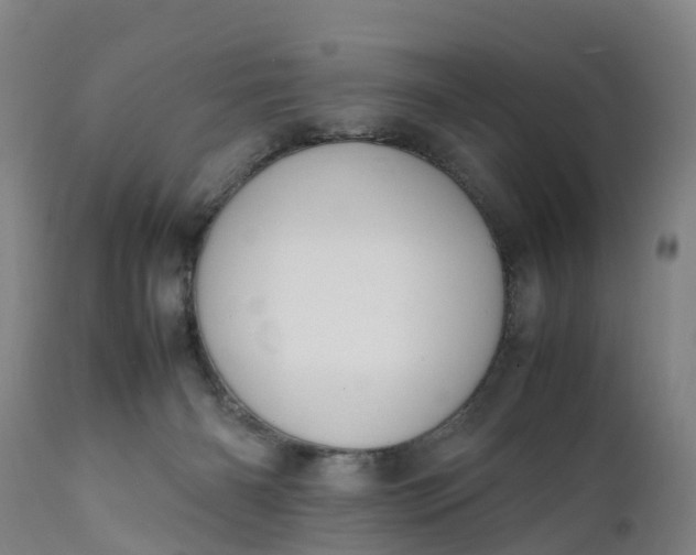 X0000111650126200907311326