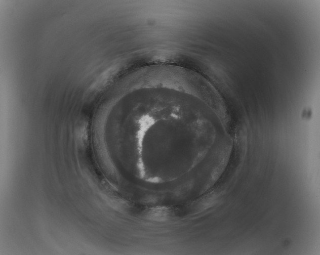 X0000111650127200907311326