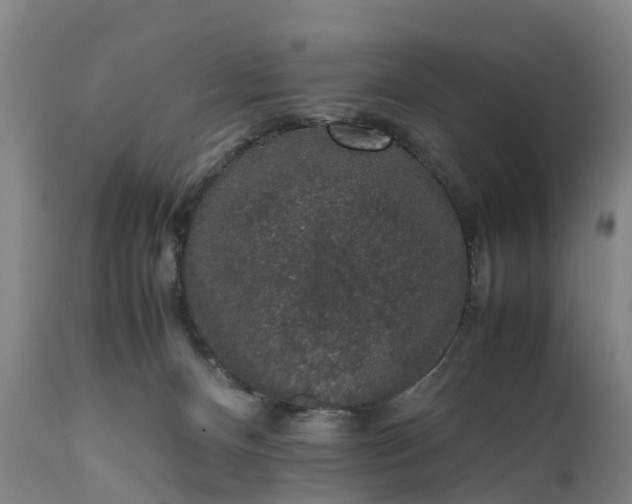 X0000111650128200907311326