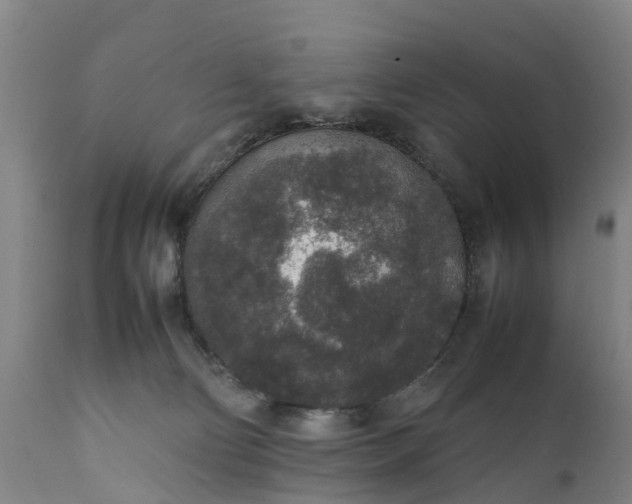 X0000111650130200907311326