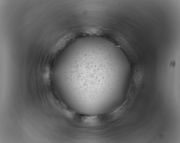 X0000111650132200907311326