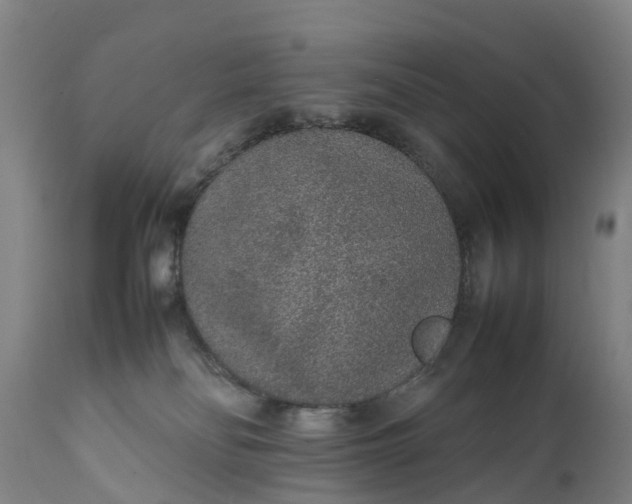 X0000111650134200907311326