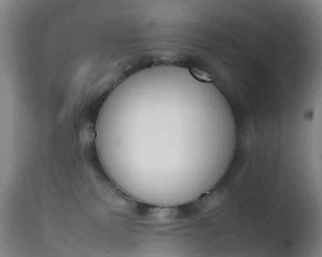 X0000111650135200907311326