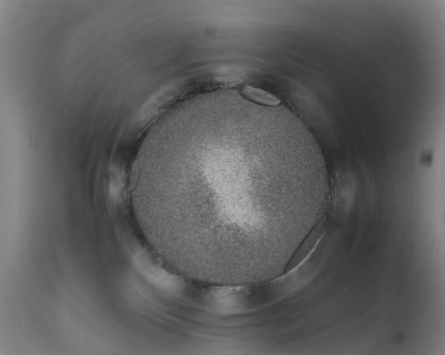 X0000111650136200907311326