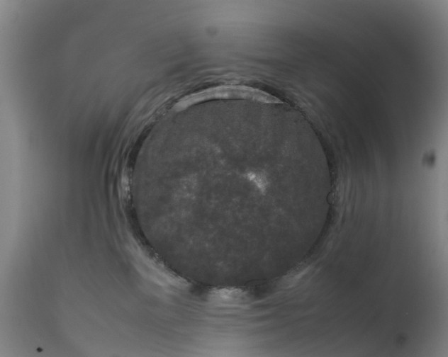 X0000111650137200907311326