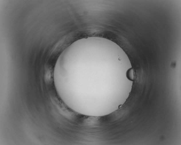 X0000111650138200907311326