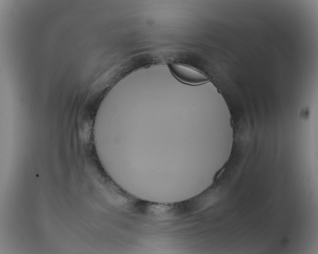 X0000111650139200907311326