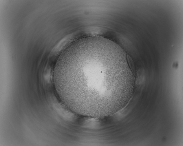 X0000111650140200907311326