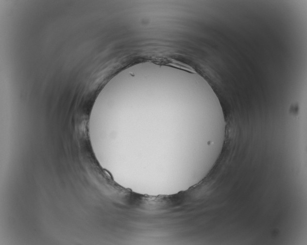 X0000111650141200907311326