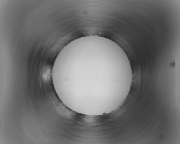 X0000111650142200907311326