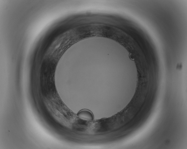 X0000111650143200907311326