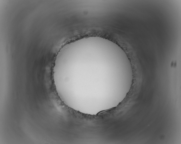 X0000111650144200907311326