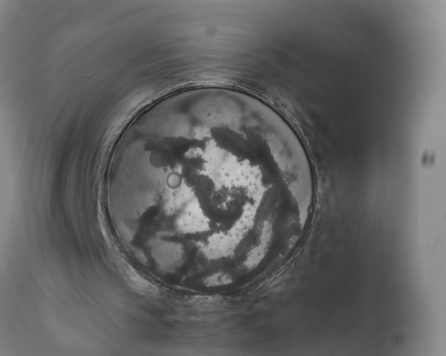 X0000111650145200907311325