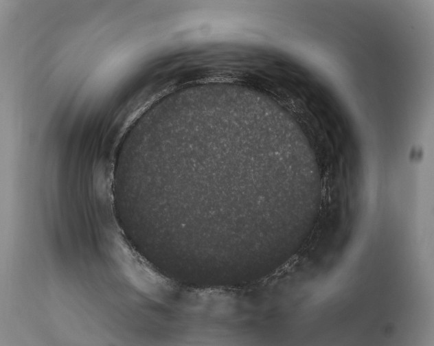 X0000111650146200907311325