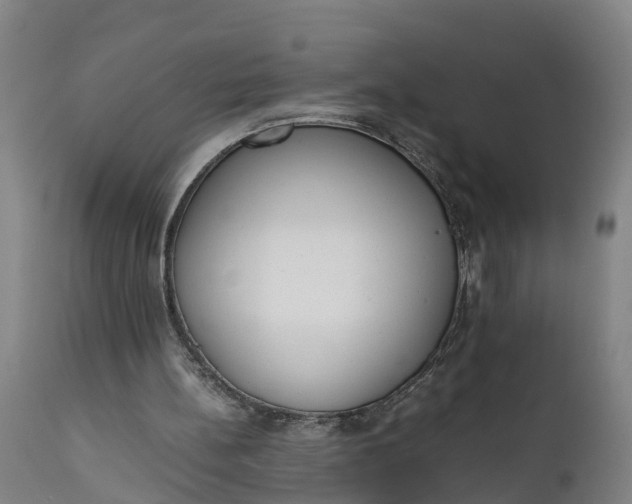 X0000111650148200907311325