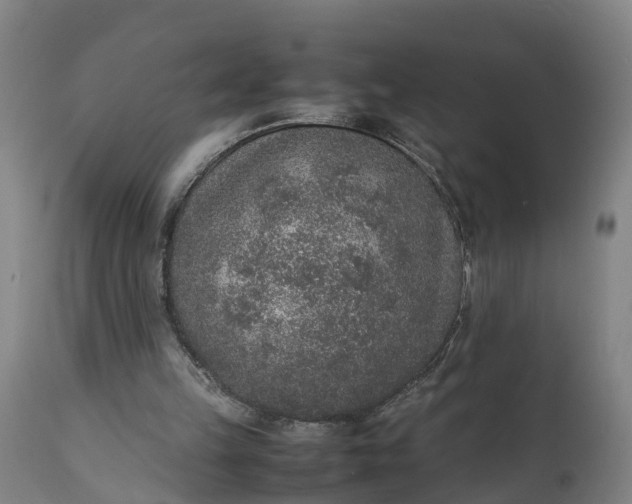 X0000111650149200907311325