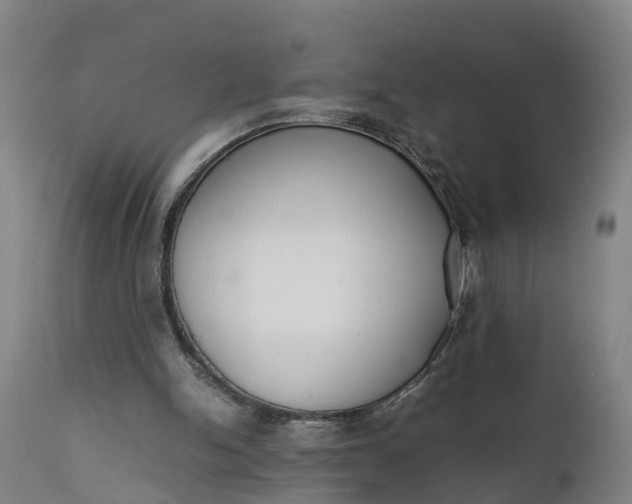X0000111650150200907311325