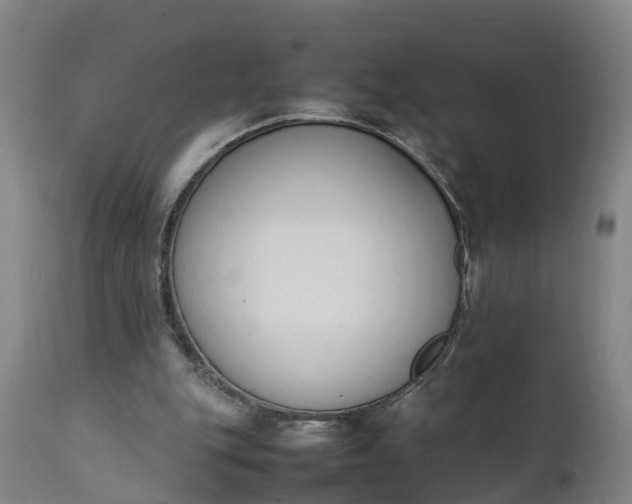 X0000111650151200907311325