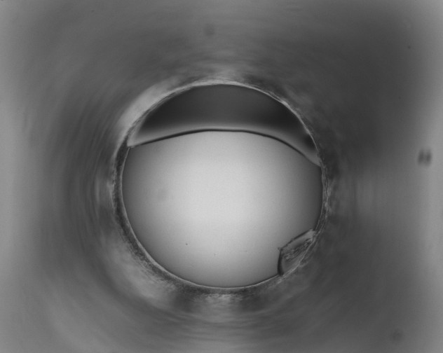 X0000111650152200907311325