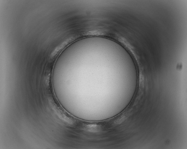 X0000111650153200907311325