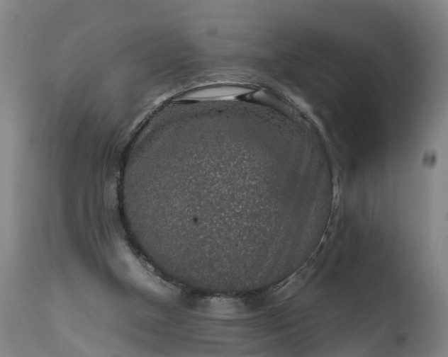 X0000111650154200907311325
