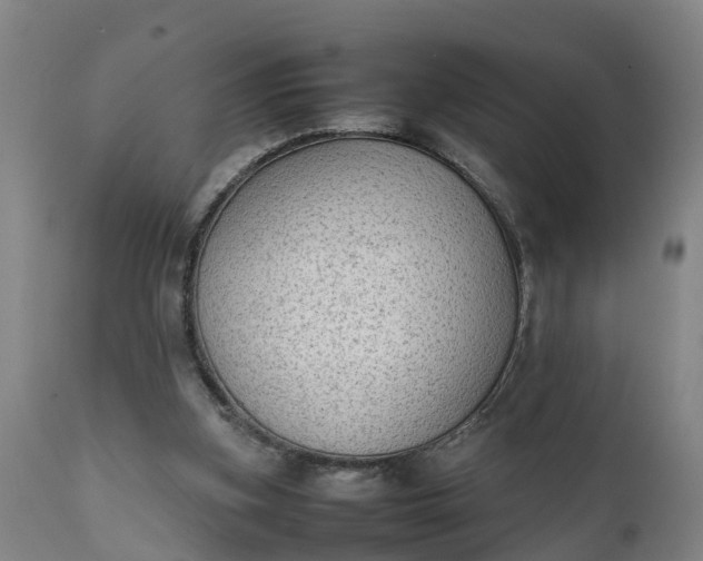 X0000111650155200907311325