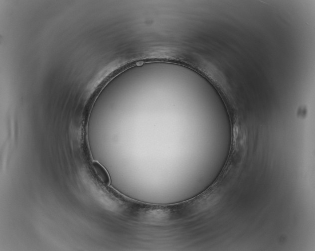X0000111650156200907311325